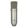 Tascam TM-80 microphone Gold Studio microphone