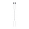 Apple USB-C to 3.5mm Adapter