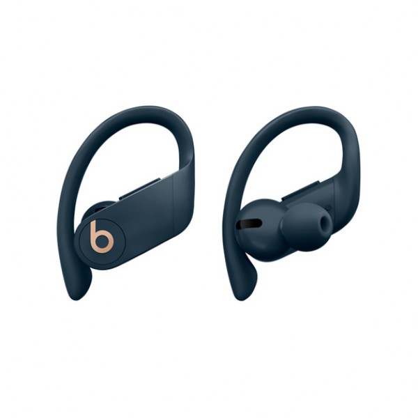 Beats Powerbeats Pro Totally Wireless Earphones ...