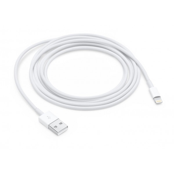 Apple Lightning to USB Cable (2 ...