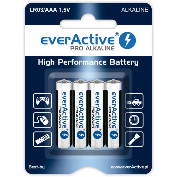 Alkaline batteries AAA / LR03 everActive ...