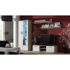 Cama display cabinet SOHO S6 2D2S sonoma oak/white gloss