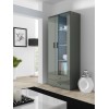 Cama display cabinet SOHO S6 2D2S grey/grey gloss