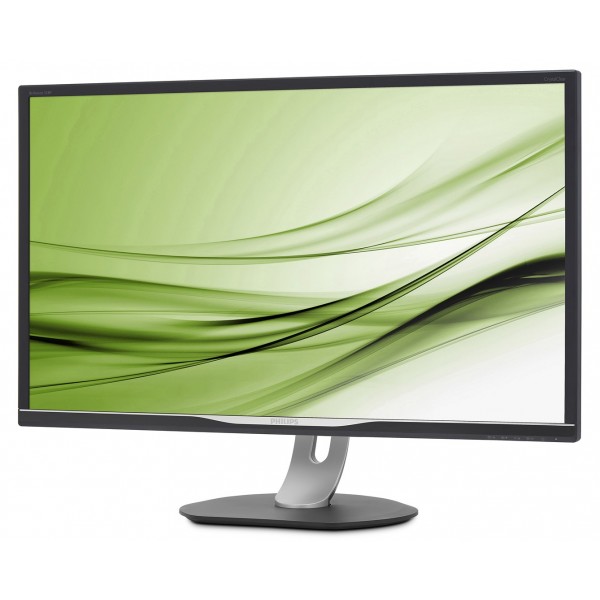 Philips P Line LCD monitor with ...