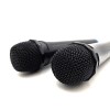 Wireless karaoke microphones ACCENT PRO MT395
