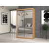 Topeshop IGA 120 ART A KPL bedroom wardrobe/closet 7 shelves 2 door(s) Oak