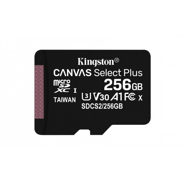 Kingston Technology Canvas Select Plus 256 ...