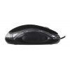 TITANUM TK106 keyboard Mouse included USB Black