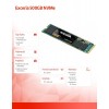 Dysk SSD Exceria 500GB NVMe 1700/1600Mb/s 2280