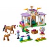 LEGO FRIENDS 41746 HORSE TRAINING