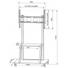 Stojak LCD 55-100 cali 150 kg