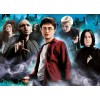 Puzzle 1000 elementów Harry Potter