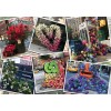 Puzzle 2D 1000 elementów NYC błysk kwiatów