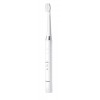 Panasonic Toothbrush EW-DM81 Rechargeable For adults Number of brush heads included 2 Number of teeth brushing modes 2 White
