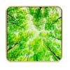 Устройство Умного Дома AIR QUALITY SENSOR GOLD/TREE AIRV-TREE AIRVALENT