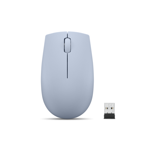 Lenovo Compact Mouse with battery 300 ...