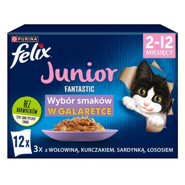 Felix Fantastic jelly food for kittens ...