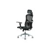 Ergonomic office chair ERGO 500 black