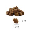 PLATINUM Fit-Bits Detox - dog treat - 150g