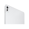 Apple 13-inch iPad Pro M5 Wi-Fi + Cellular 512GB with standard glass - Silver | Apple