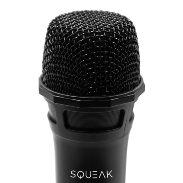 KARAOKE MICROPHONES SET VOCALDUO 2, 4G ...