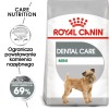 ROYAL CANIN CCN Mini Dental Care - dry food for adult dogs - 3kg