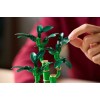 LEGO BOTANICALS 10344 Dracena sandera