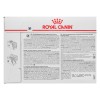 ROYAL CANIN Intestinal Gastro Moderate Cat 12x85g