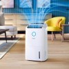 DEHUMIDIFIER & AIR PURIFIER/DE5305/11 PHILIPS