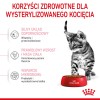 Royal Canin Kitten Sterilised cats dry food 3.5 kg Poultry