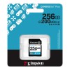 KINGSTON 256GB UHS-I SD Memory Card (Class 10, U3, V30)