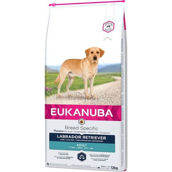 EUKANUBA Labrador Retriever Adult - dry ...