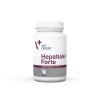 VETEXPERT Hepatiale Forte Large breeds - supplements for dogs -  40 tablets