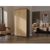 Topeshop SD-90 ANT/ART KPL bedroom wardrobe/closet 7 shelves 2 door(s)