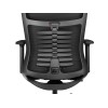 Genesis Ergonomic Chair Astat 700 Base material Aluminum; Castors material: Nylon with CareGlide coating | Black