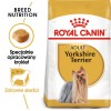 ROYAL CANIN Yorkshire Terrier Adult - dry dog food - 1,5 kg