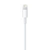 Apple Lightning to USB Cable (1В m)