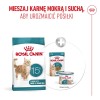 ROYAL CANIN Ageing 15+ - dry cat food - 4kg