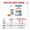 ROYAL CANIN Ageing 15+ Chunks in gravy - wet cat food - 12x85g