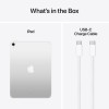Apple iPad 11