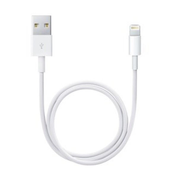 Apple Lightning to USB Cable (0.5 ...