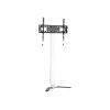 TECHLY Super Slim Floor Stand for LCD