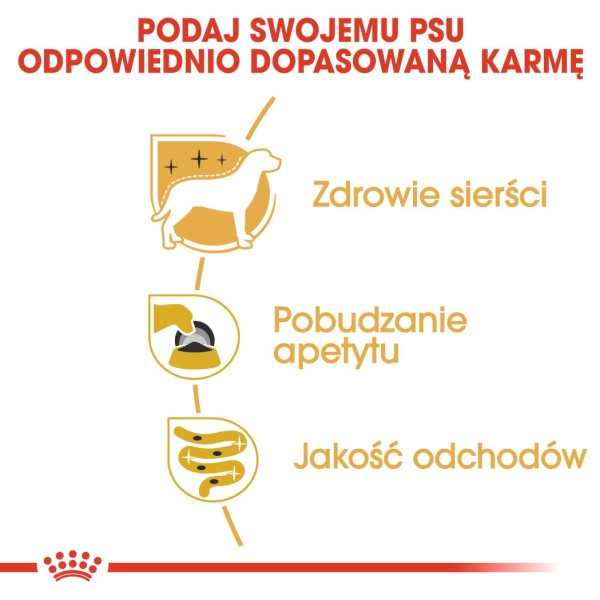 Royal Canin Yorkshire Terrier Adult 85 ...