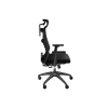 Genesis Ergonomic Chair Astat 200 Base material Nylon; Castors material: Nylon with CareGlide coating | Black