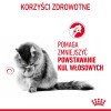 ROYAL CANIN Hairball Care Wet cat food Chunks in sauce 12x85 g