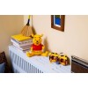 LEGO DISNEY 43300 Winnie the Pooh