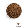 Orijen Original 2 kg Adult Chicken, Fish, Turkey