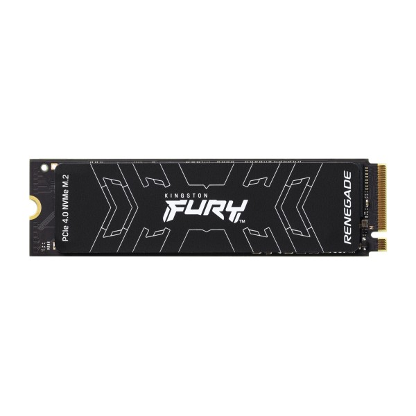 Kingston Technology 1000G FURY RENEGADE M.2 ...