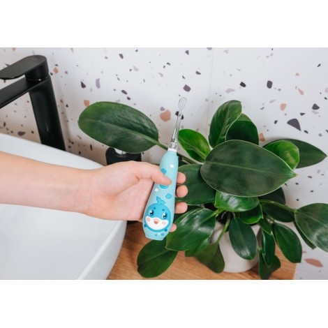 Szczoteczka soniczna niebieska ZK3020 CONCEPT