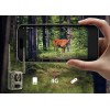 Reolink Camovue Talon S130 4G LTE Trail Camera